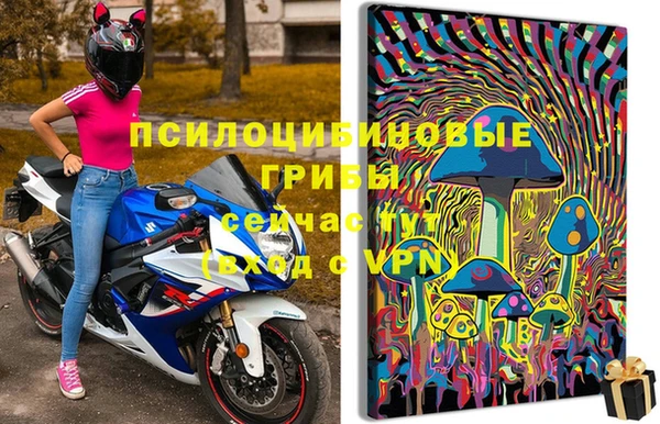 ешки Беломорск
