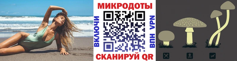 Купить закладки  Велиж  Псилоцибиновые грибы Psilocybe 